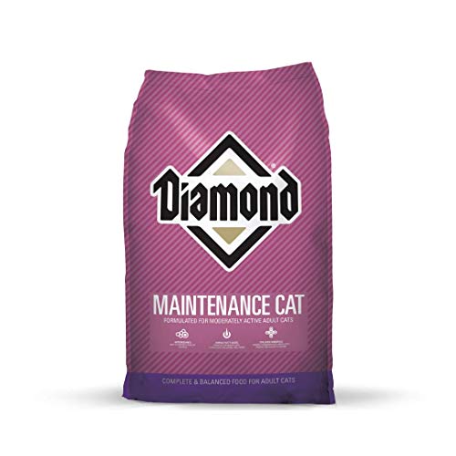 Diamond Maintenance Cat 9 kg (20 lbs), alimento para gato