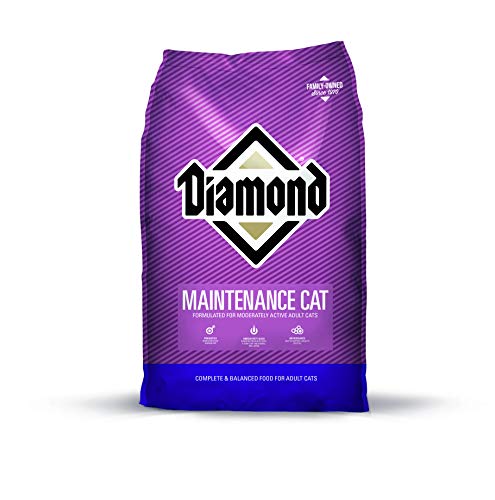 Diamond - Mantenimiento Gato