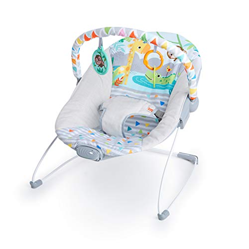 Bright Starts Bouncer Mecedora Bebe Vibradora Juguetes Gris