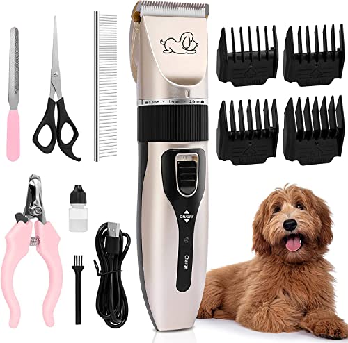 Eléctrico Clipper para Perros y Gatos, Cortapelos Perros Gatos, Bajo Ruido Máquina Cortar Pelo con 4 Peines,Inalámbrico y Recargable, Kit Maquinillas para Mascotas Multifuncional. (oro)