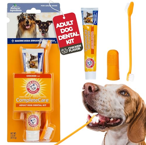 Arm & Hammer Complete Care Dog Dental Kit | 2.5 oz Chicken Flavor Enzymatic Dog Toothpaste, Toothbrush, & Finger Brush | Baking Soda Enhanced Formula for Fresh Breath and Tartar Control