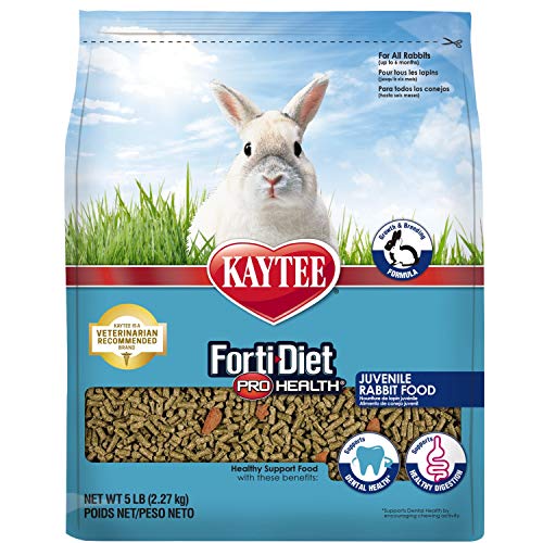 Kaytee KY99983 forti Diet Pro Health Food for Juvenile Rabbits, 5-Pound