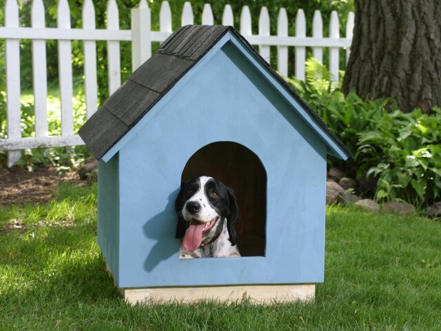 mejores casas para perro